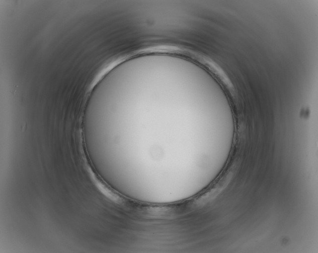 X0000094461425200711081048