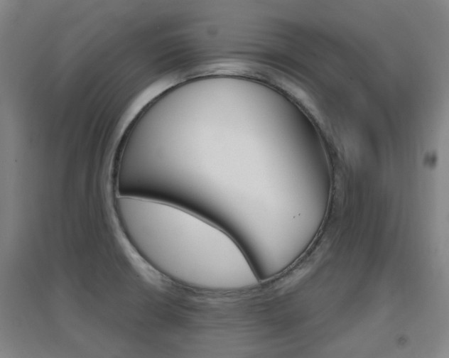 X0000094461426200711081048