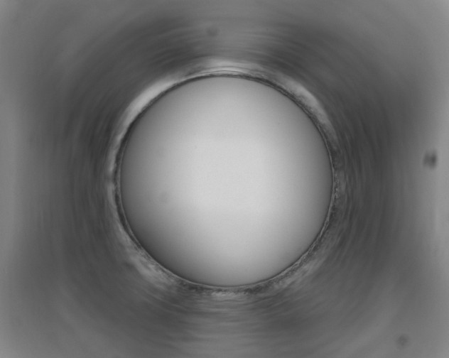 X0000094461427200711081048