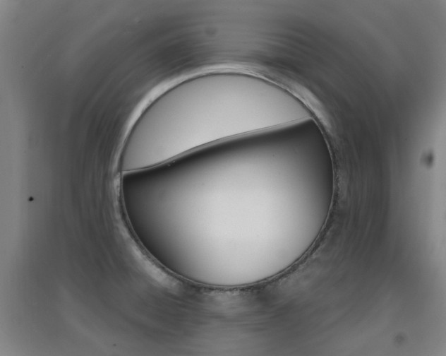 X0000094461428200711081048