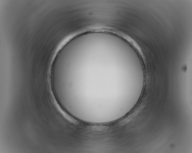 X0000094461429200711081049