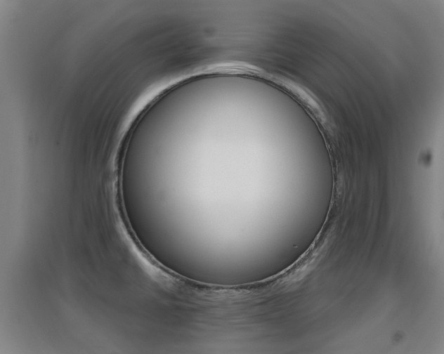 X0000094461430200711081049
