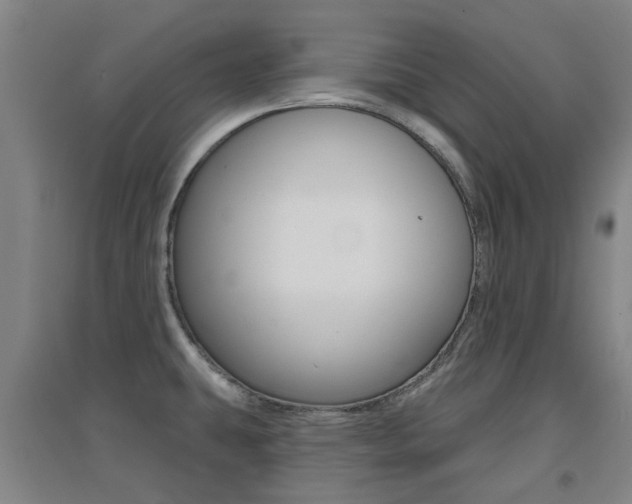 X0000094461431200711081049