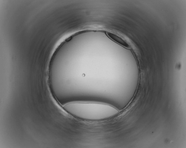 X0000094461432200711081049