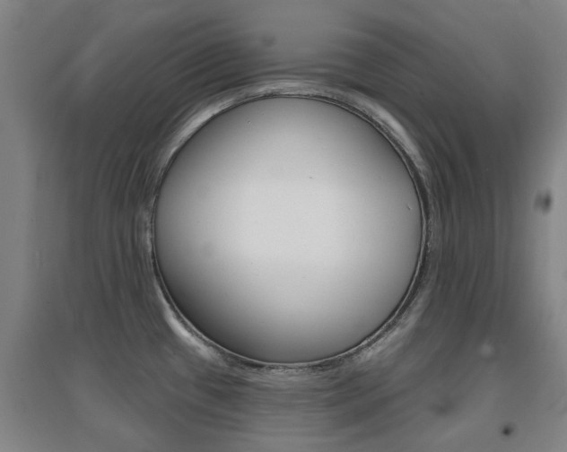 X0000094461433200711081049