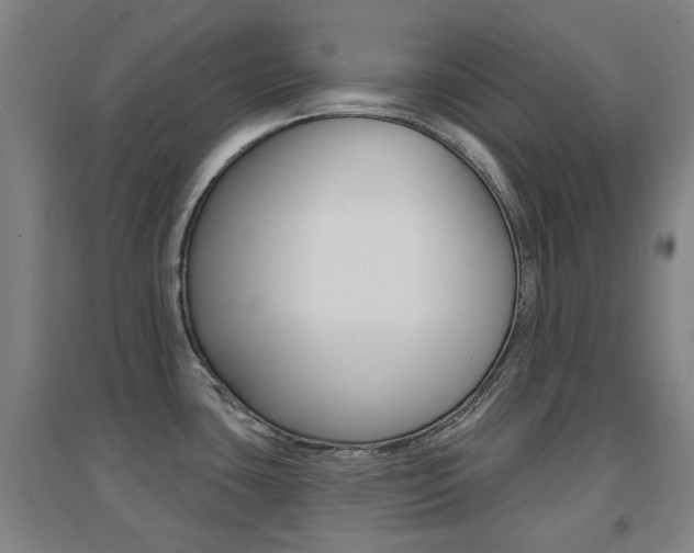 X0000094461435200711081049
