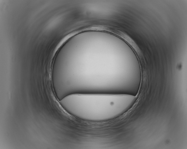 X0000094461436200711081049
