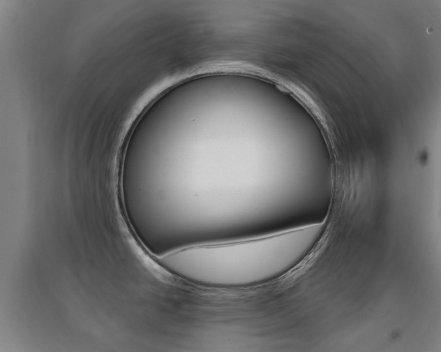 X0000094461438200711081049