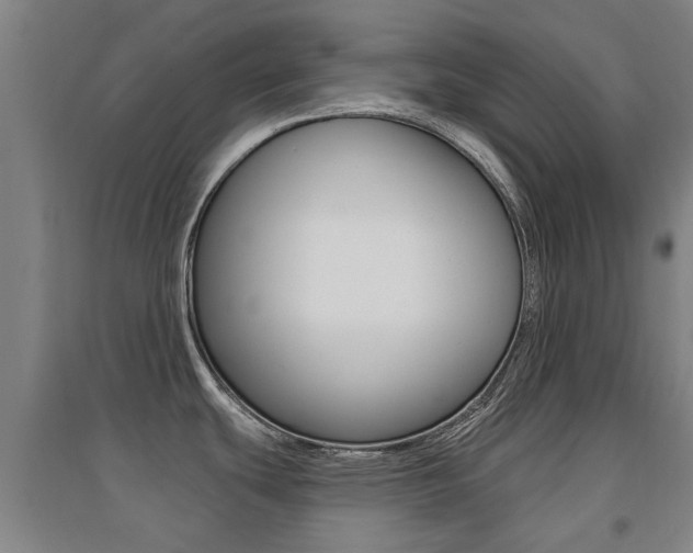 X0000094461439200711081049