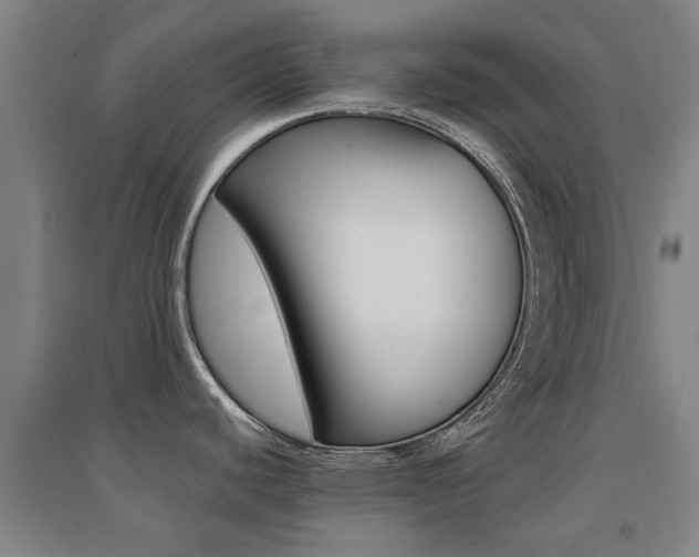 X0000094461440200711081049