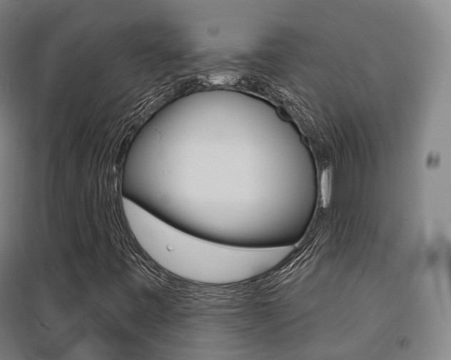 X0000094461443200711081048
