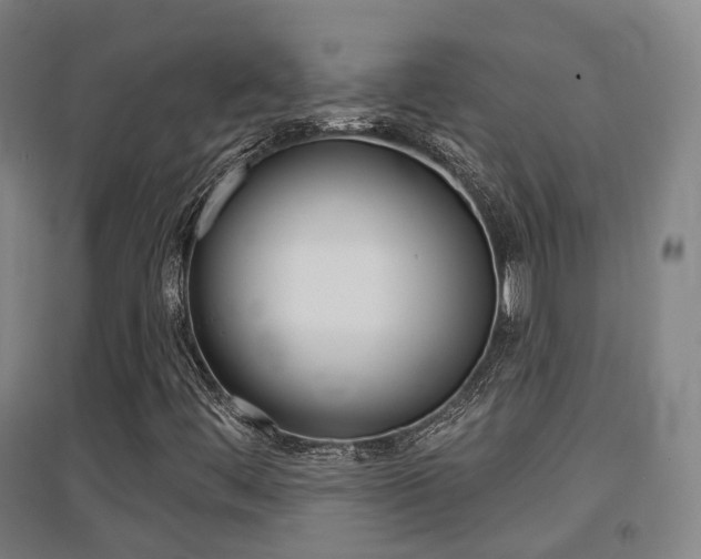 X0000094461444200711081048