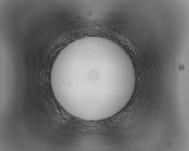 X0000094461445200711081048