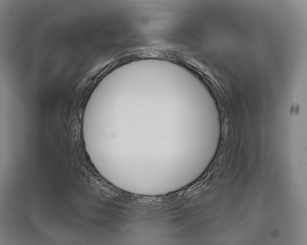 X0000094461446200711081048