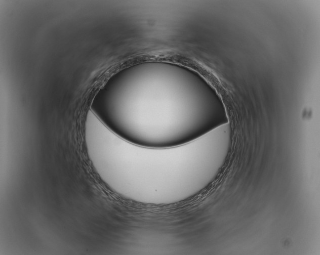 X0000094461447200711081048
