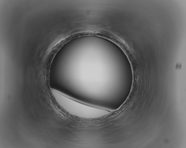 X0000094461448200711081048