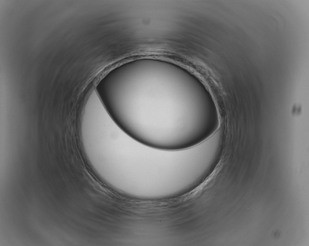 X0000094461449200711081048
