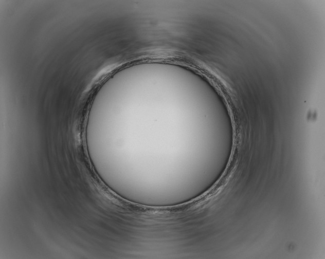 X0000094461451200711081048