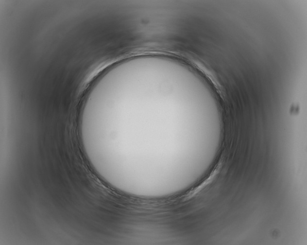 X0000094461453200711081048