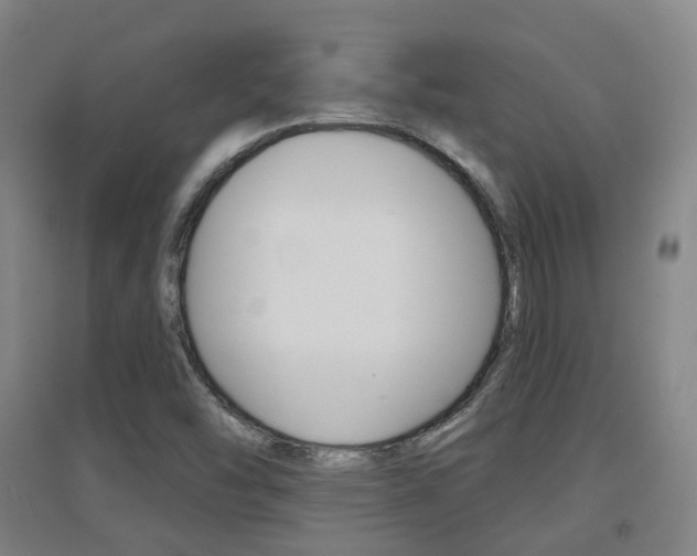 X0000094461454200711081048