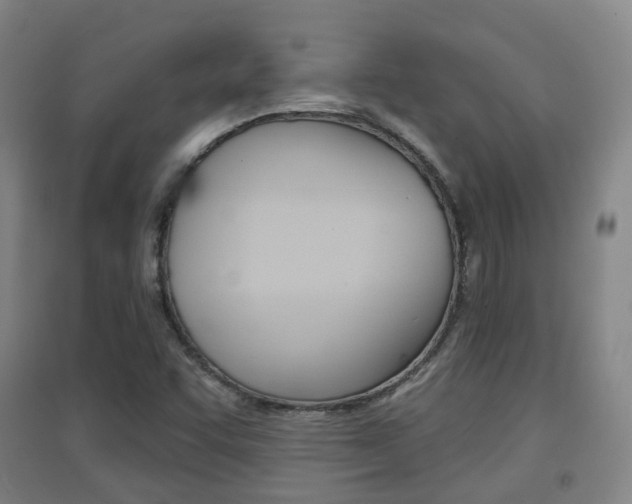 X0000094461455200711081048
