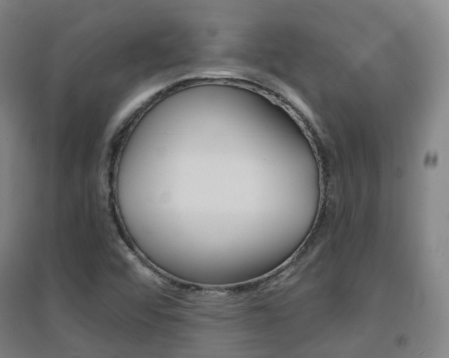 X0000094461456200711081048