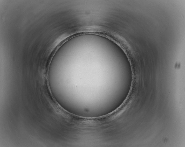 X0000094461457200711081048