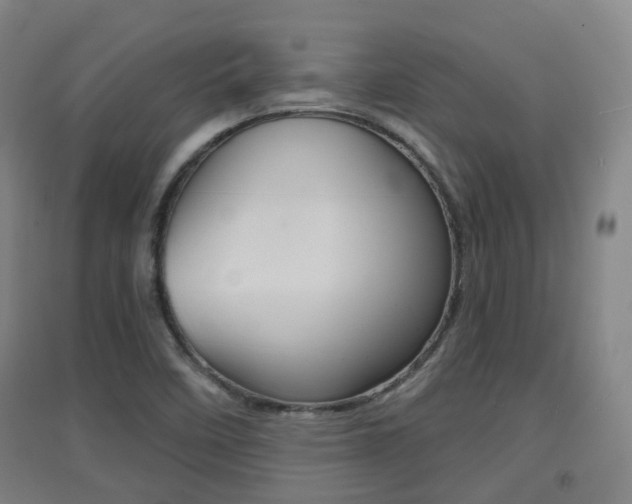 X0000094461458200711081048