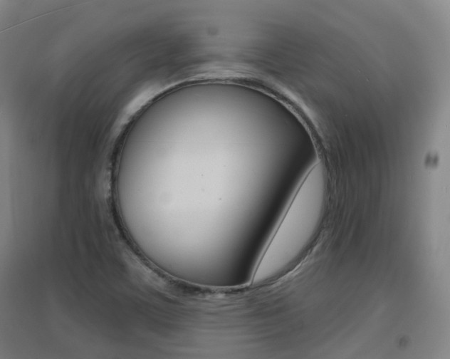 X0000094461459200711081048