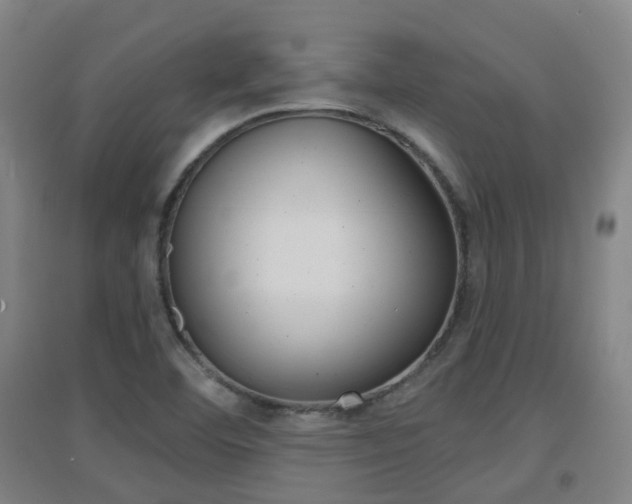 X0000094461460200711081048