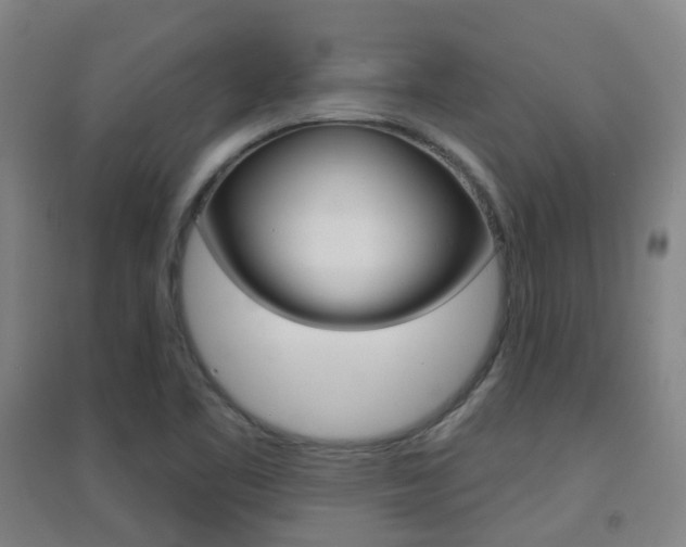 X0000094461461200711081048