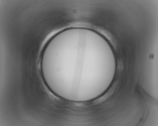 X0000094461462200711081048