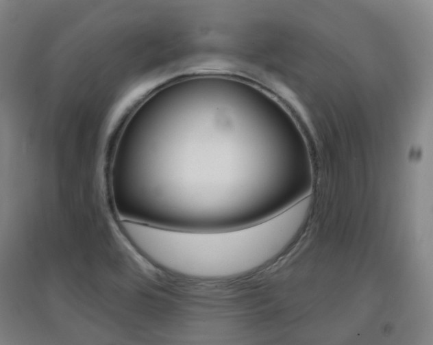 X0000094461464200711081048