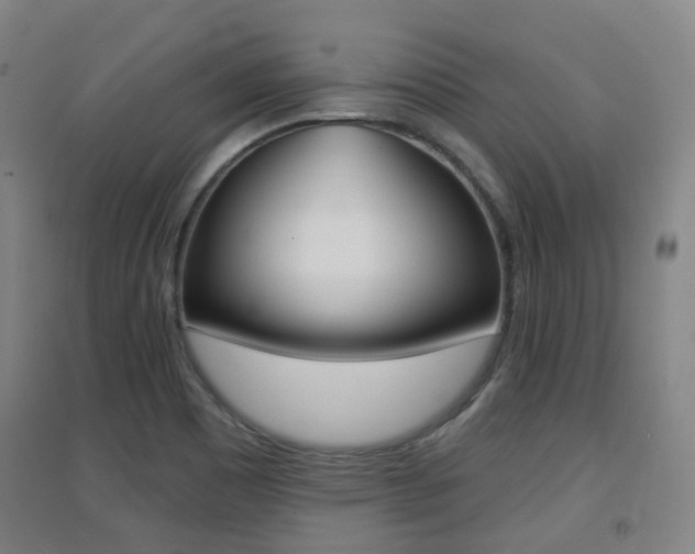 X0000094461465200711081048
