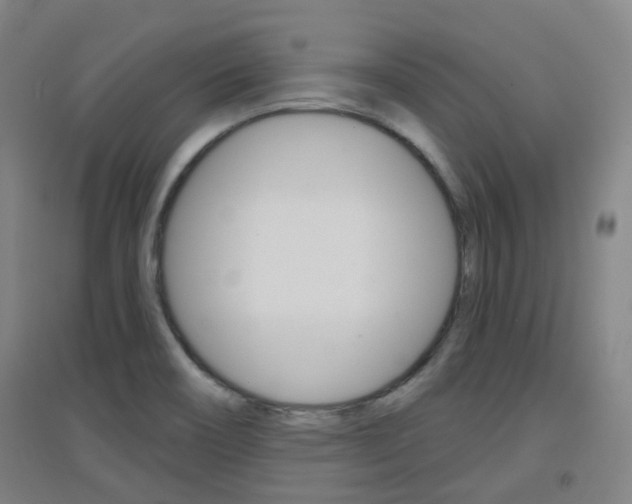 X0000094461466200711081048