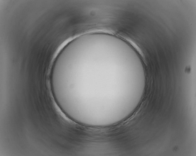 X0000094461468200711081048