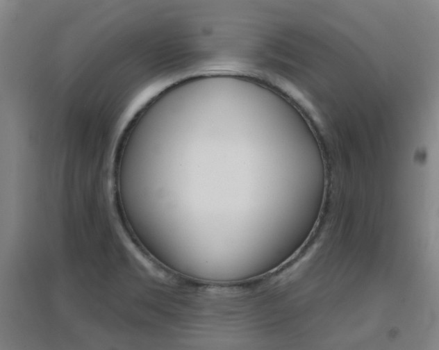 X0000094461469200711081048