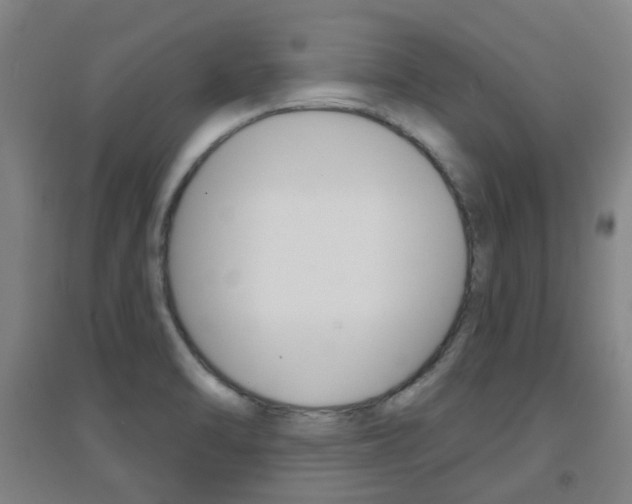 X0000094461470200711081048