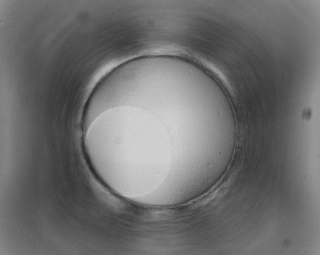 X0000094461471200711081048