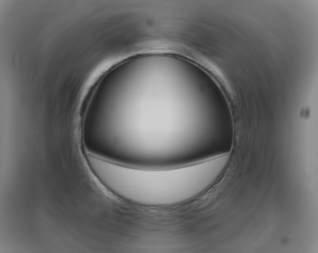 X0000094461472200711081048