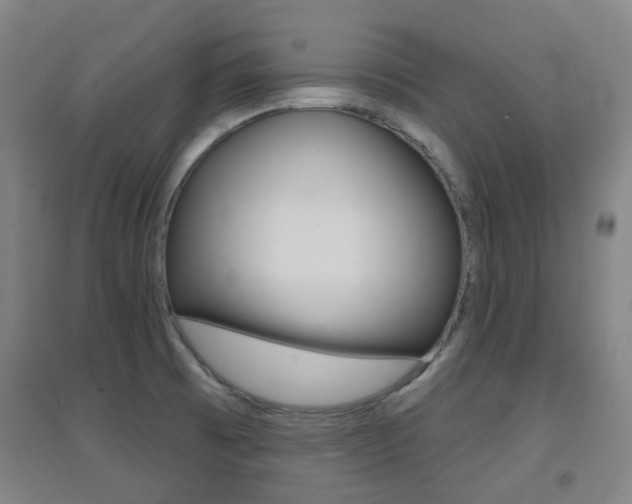 X0000094461473200711081048
