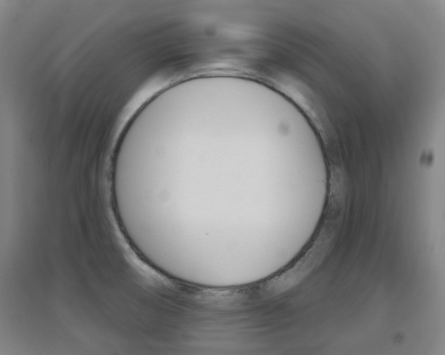 X0000094461474200711081048