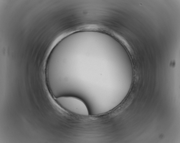 X0000094461475200711081048