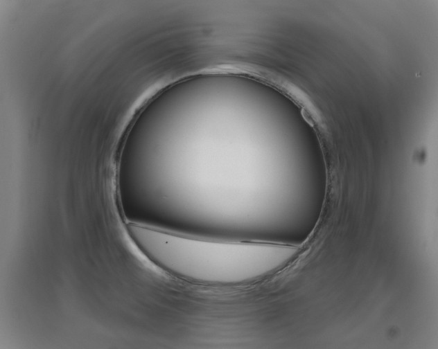 X0000094461476200711081048