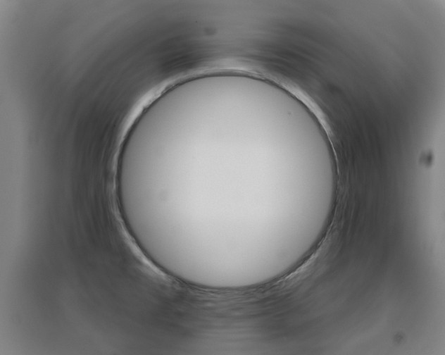 X0000094461477200711081047