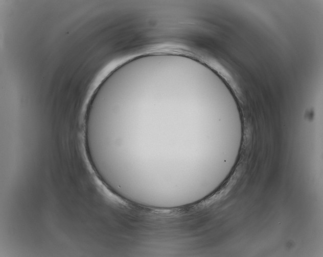 X0000094461478200711081047