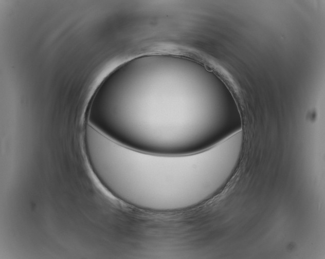 X0000094461479200711081047