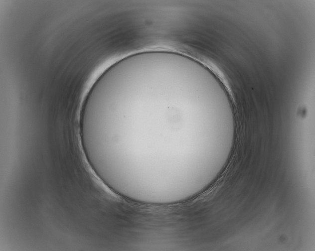 X0000094461480200711081047