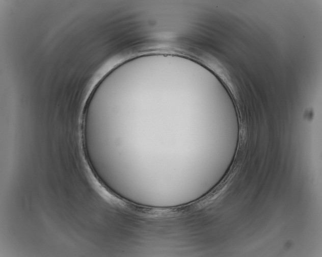 X0000094461482200711081047