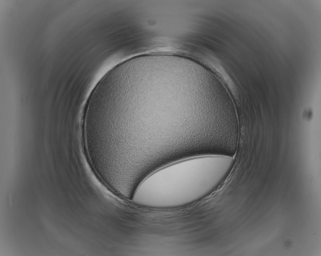 X0000094461483200711081047
